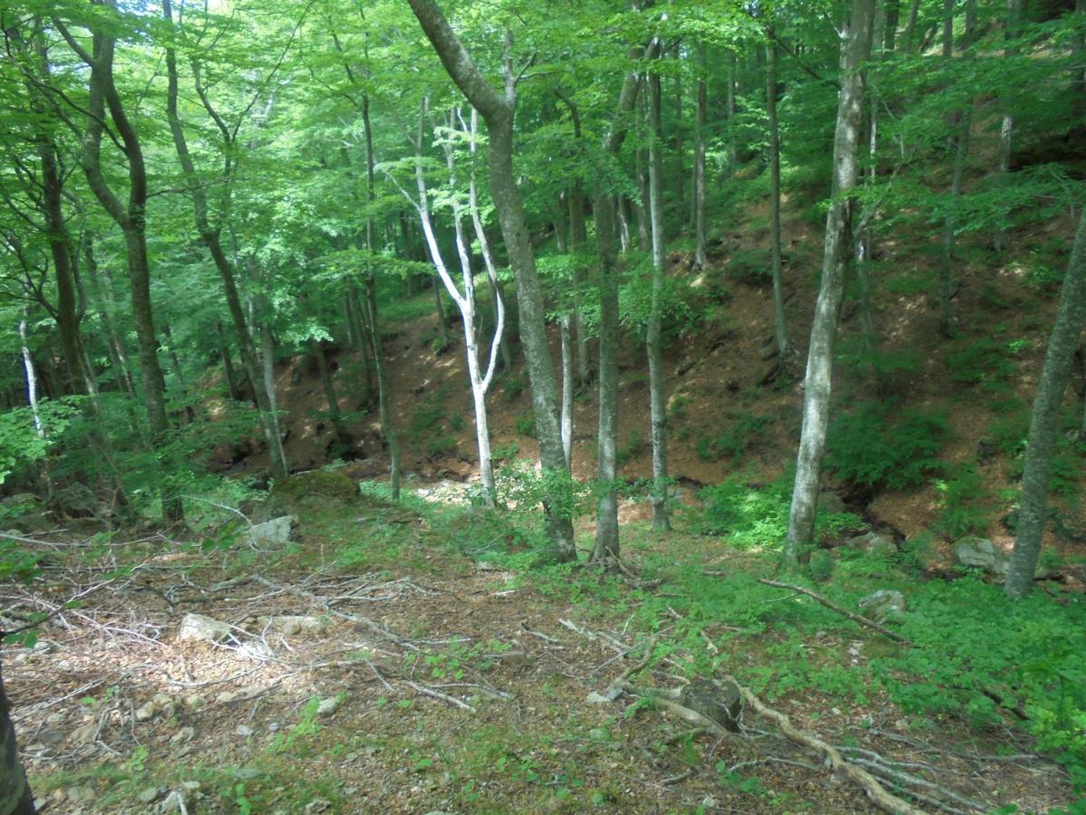 Villa El Correc Laroque-des-Albères Buitenkant foto
